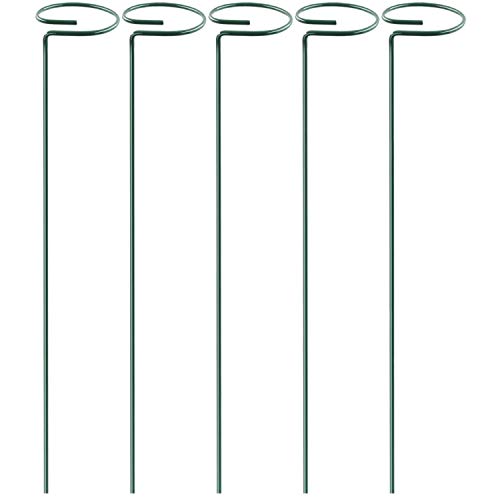 Ujjdwiurgh 5 Packung Garten Pflanzen St¨¹Tz Pfosten Einzel Stiel St¨¹Tz Pfosten Pflanzen K?Fig St¨¹Tz Ringe Bl¨¹Ten Stiel Aufrechte Pflanze W?Chst von Ujjdwiurgh