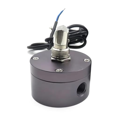 Ujjdwiurgh DN10 Durchflussmesser Getriebe?l-Durchflussmesser Durchflusssensor Fl¨¹ssigkeitsdurchflussmesser f¨¹r Petrochemie Hohe Leistungen von Ujjdwiurgh