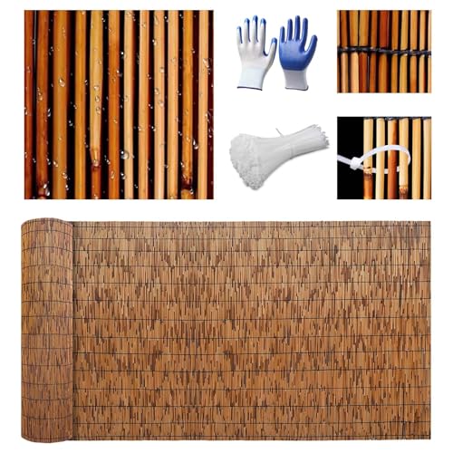 Natürlicher Balkon Sichtschutz Bambus 50 60 70 80 90 100 110 120 130 140 150 160cm H Sichtschutz Schilfmatte Beach Blickdicht & Wetterfest Garten Schilfrohrmatte Perfekter Windschutz & Sichtschutz von Ukkajovlex