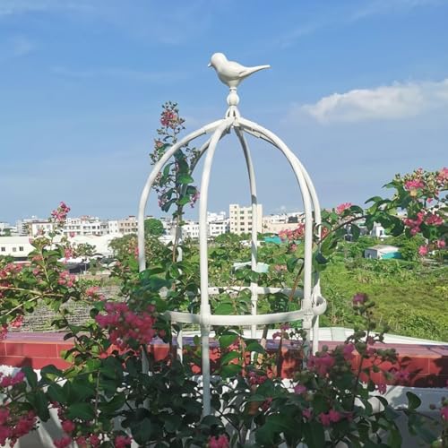 Obelisk Trellis Tomato Cage High Trellis 180 X 50 cm 230 X 50 cm 280 X 50 cm 330 X 50 cm Metal Obelisk for Climbing Plants Rose Tower Für Cucumbers, Tomatoes Für Den Balkon Innenhof(White,H330xD50cm) von Ukkajovlex
