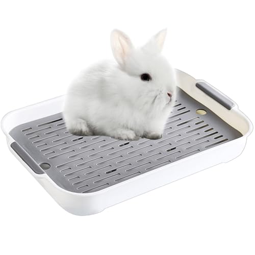 Kaninchen Toilette Tablett Hasentoilette Katzentoilette Hamster Toilette,Kunststoff Gitterrost Kaninchentoilette für Kleintier Chinchilla Hamster Hasen Meerschweinchen (Weiss, L) Kaninchen Toilette Tablett Hasentoilette Katzentoilette Hamster Toilette,Kunststoff Gitterrost Kaninchentoilette für Kleintier Chinchilla Hamster Hasen Meerschweinchen (Weiss, L) von Ulawellor