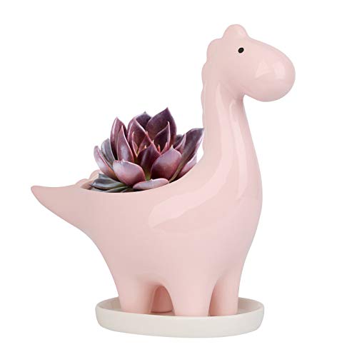 Ulikey Dinosaurier Geformt Blumentopf Keramik, Kaktus Sukkulenten Töpfe Blumentöpfe Pflanze Container Pflanzgefäß Dekoration Pflanzer Pflanzenbehälter für Garden, Desktop, Home Dekoration von Ulikey