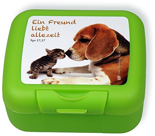 Uljö °° Frühstücksbox, 9 x 8 cm, Kunststoff, EIN Freund liebt allezeit (grün) von Uljö