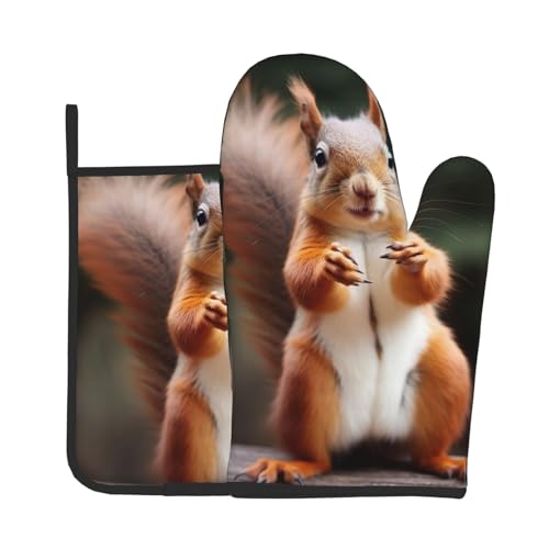 Ofenhandschuhe und Topflappen mit Eichhörnchen-Motiv, 2 Stück, hitzebeständige Küchenhandschuhe und heiße Pads zum Kochen, Backen, Grillen Ofenhandschuhe und Topflappen mit Eichhörnchen-Motiv, 2 Stück, hitzebeständige Küchenhandschuhe und heiße Pads zum Kochen, Backen, Grillen von ULKMFFCF