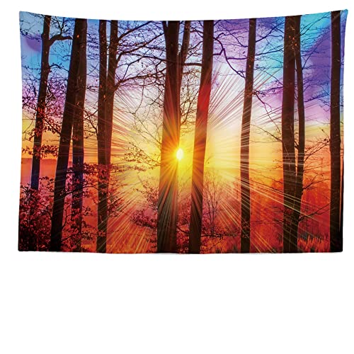 Ulticool - Bäume Sonnenuntergang Natur - Wandteppich - 200x150 cm - Großer Wandteppich - Poster Dekoration - Wald - Deko - Tuch - Zubehör für Schlafzimmer Wohnzimmer von Ulticool