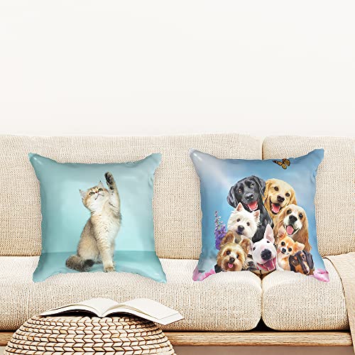 Ulticool - Kissenhülle - Hund Tiere Hunde Katze - Set von 2 Motiven – 45 cm x 45 cm - Dekokissen ohne Füllung - Kissenbezug Zubehör für Sofa/Bett - Blau Weiß von Ulticool
