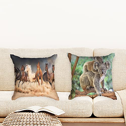 Ulticool - Kissenhülle - Pferde Sand Natur Tiere Koala - Set von 2 Motiven – 45 cm x 45 cm - Dekokissen ohne Füllung - Kissenbezug Zubehör für Sofa/Bett - Braun Grün Beige von Ulticool