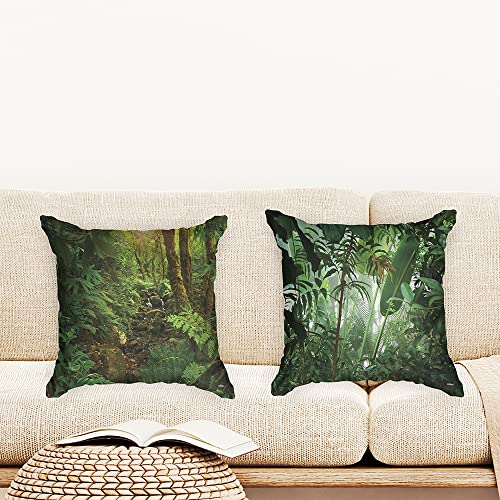 Ulticool - Kissenhülle - Regenwald Natur Öko Pflanzen - Set von 2 Motiven – 45 cm x 45 cm - Dekokissen ohne Füllung - Kissenbezug Zubehör für Sofa/Bett - Grün von Ulticool
