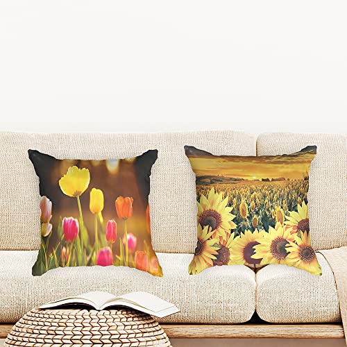 Ulticool - Kissenhülle - Tulpen Blumen Natur Sonnenblume Sonne - Set von 2 Motiven – 45 cm x 45 cm - Dekokissen ohne Füllung - Kissenbezug Zubehör für Sofa/Bett - Gelb Rosa Orange von Ulticool