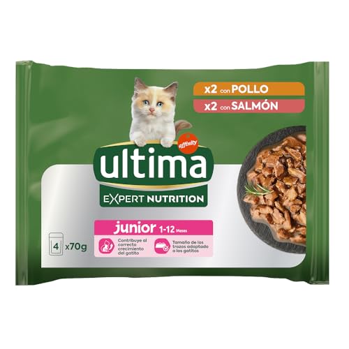 Ultima Expert Nutrition Nassfutter für Kätzchen, Junior, 1 bis 12 Monate, 11 x Packung (4 x 70 g) von Ultima