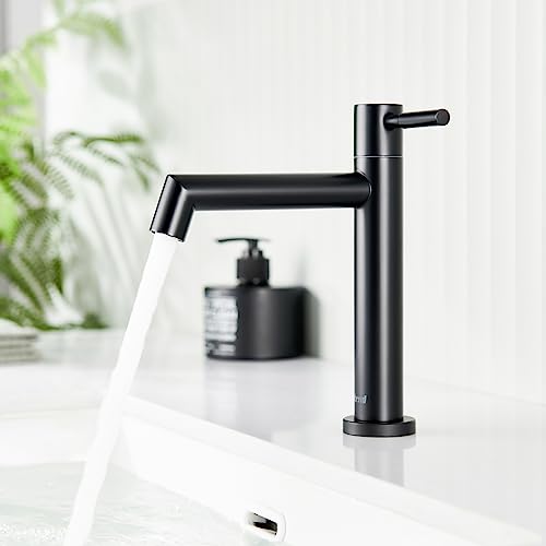 Ulytid Kaltwasserhahn Schwarz, Wasserhahn Bad Edelstahl Einhebel Waschtischarmatur mit Abnehmbarer Sprudler, Auslauf Höhe 113 mm Badarmatur Wassersparend Einfache Installation von Ulytid