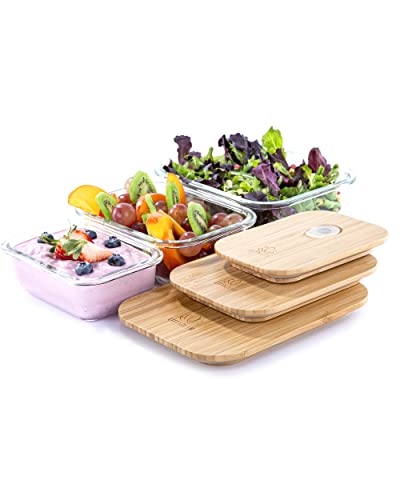 Umami Glas Bento Box für Erwachsene/Kinder, 1 Meal Prep Lunchbox Lebensmittelbehälter für Männer/Frauen, Mikrowelle, Geschirrspüler & Gefrierschrank geeignet von Umami