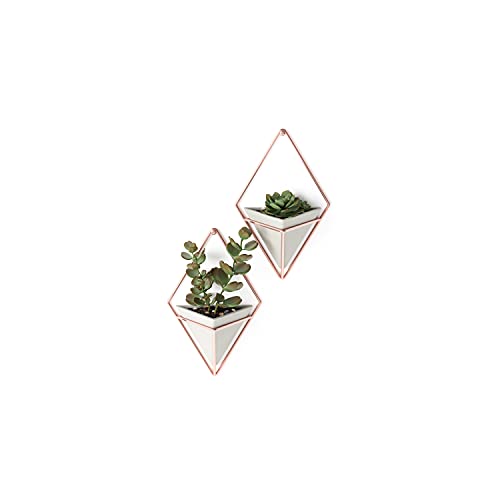 Umbra Trigg Wandvase & Geometrische Deko - Übertopf Für Zimmerpflanzen, Sukkulenten, Luftpflanzen, Kakteen, Kunstpflanzen und Mehr, Beton/Kupfer, 2er-Set, Klein Umbra Trigg Wandvase & Geometrische Deko - Übertopf Für Zimmerpflanzen, Sukkulenten, Luftpflanzen, Kakteen, Kunstpflanzen und Mehr, Beton/Kupfer, 2er-Set, Klein von Umbra