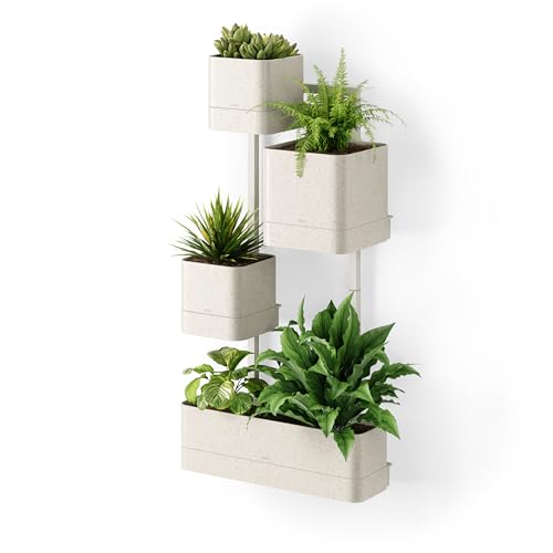 Umbra Cubiko Wandpflanzkasten, Wandhalterung mit 4 Pflanztöpfen, für Innen- und Außenbereich, Sand von Umbra