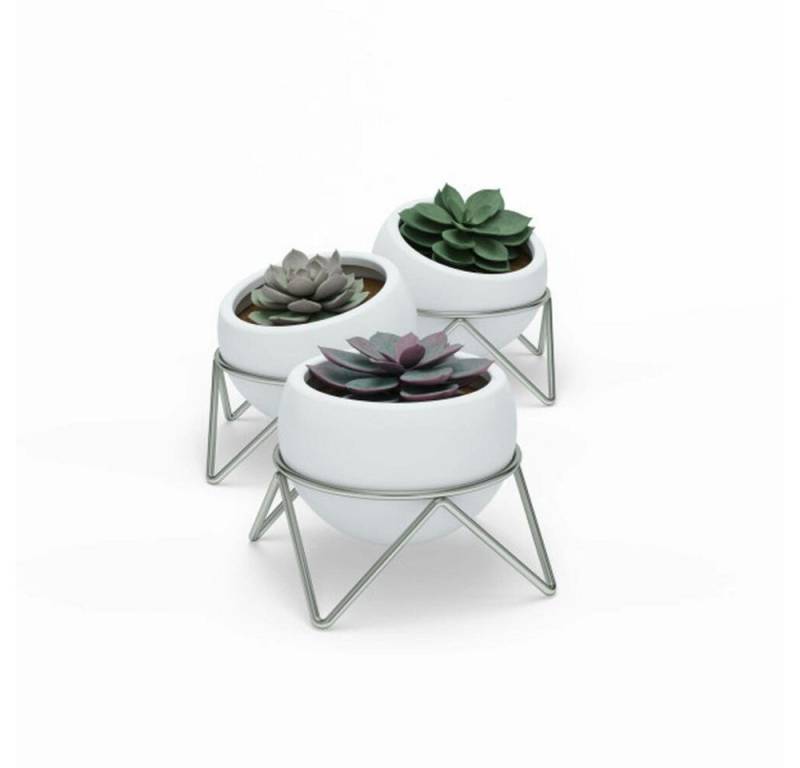 Umbra Tischvase Potsy Weiß 3er Set von Umbra