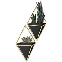 Wandpflanzentopf 'Trigg' (Doppelpack) von Umbra