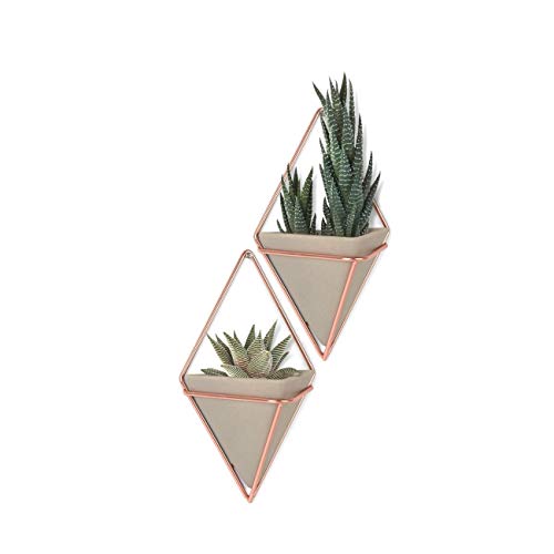 Umbra Trigg Wandvase 2er-Set 11x6x19 cm Concrete/Copper von Umbra