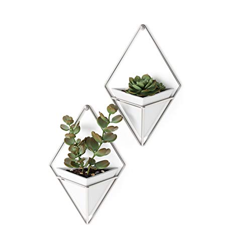 Umbra Trigg Wandvase & Geometrische Deko - Übertopf Für Zimmerpflanzen, Sukkulenten, Luftpflanzen, Kakteen, Kunstpflanzen und Mehr, Weiss/Nickel, 2er-Set, Klein von Umbra