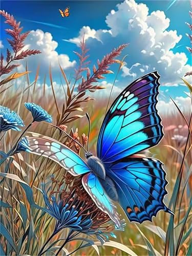 Umfarvt Blaue Schmetterlingswolke Diamond Painting Erwachsene set DIY Round Vollbohrer 20x30cm,5D Diamant Painting Bilder für Erwachsene,Strass Stickerei Leinwand painting set,Wanddeko Geschenk von Umfarvt