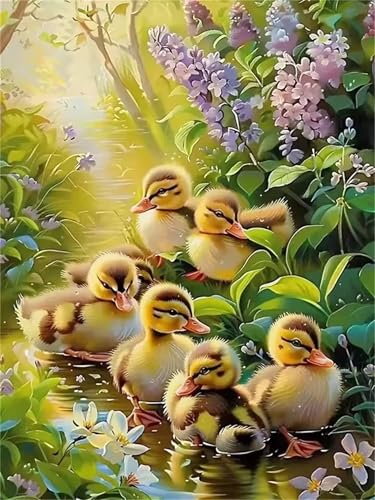 Umfarvt Diamond Painting Entenwälder Set für Erwachsene DIY Square Strass 80x100cm,5D diamond painting bilder Diamant Kunst Malerei Stickerei Kreuzstich Set,Wohnzimmer Wanddeko von Umfarvt