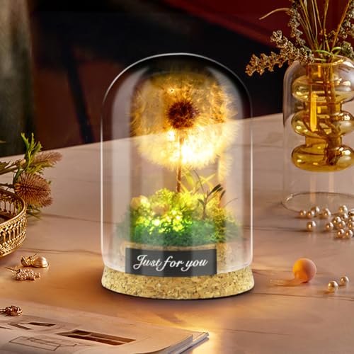 Umllpet Wunscherfüller mit Led Licht, Echte Pusteblume Im Glas Ewig Haltbar Wunscherfüller Pusteblume Geschenk für Frauen Mädchen Freundin Schwester Geschenkidee Geburtstag Hochzeit Deko (6X8cm) von Umllpet