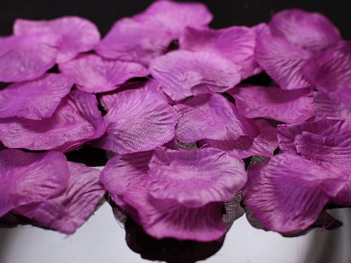 100 Rosenblätter Violett Tischdeko Streudeko Hochzeit Blütenblätter Deko 5 cm groß (Violett) von Unbekannt