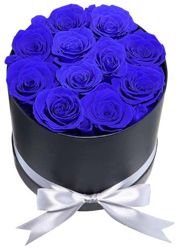 11 Stück blaue Forever konservierte Rosenbox, echte Rosen, handgefertigt in einer Box, echte Rose, hält 3–5 Jahre, Geschenk für sie zum Geburtstag, Muttertag, Valentinstag, Weihnachten von Unbekannt