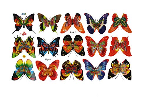 Unbekannt 15 Stück Deko Schmetterlinge mit Magnet Magnetschmetterling Kühlschrankmagnet von Unbekannt