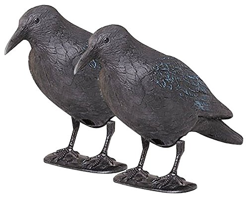 2er-Set Schwarzer Rabe Taubenschreck, Kunststoff 2er-Set Schwarzer Rabe Taubenschreck, Kunststoff von E
