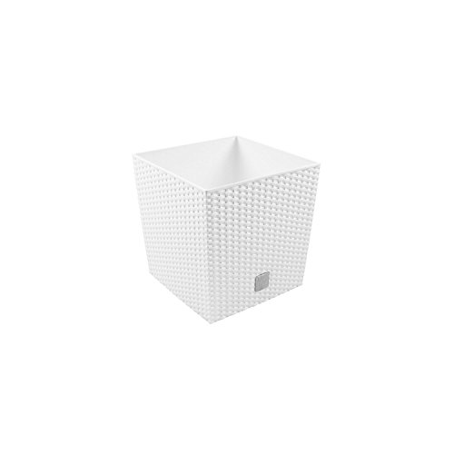 32L Blumentopf Rattan-Optik Pflanzkübel inkl. Einsatz quadratisch Kunststoff H 32,5 cm weiss von Prosperplast