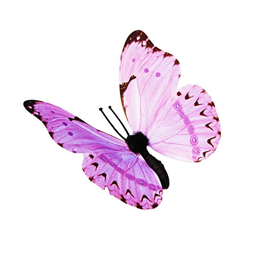 3D Schmetterlinge Magnet Wanddeko Wandtattoo Auswahl von Diawell