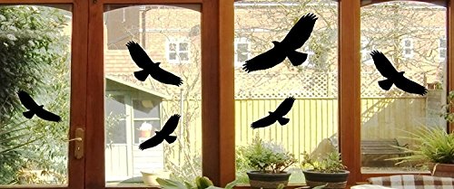 6 Vogel Aufkleber - Vögel Fenster Glas Greifvogel Fensterbild je 24x10cm B397 (schwarz) von Unbekannt