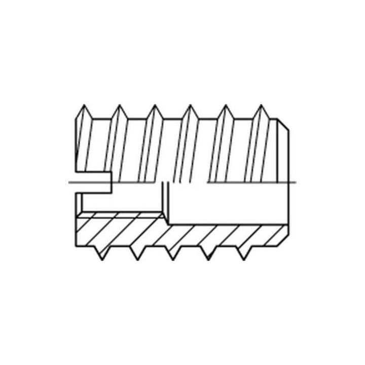 B-Ware Rampa Einschraubmutter Schraubdübel Din 7965 Stahl M 6 X 15 Verzinkt 12 Mm B-Ware Rampa Einschraubmutter Schraubdübel Din 7965 Stahl M 6 X 15 Verzinkt 12 Mm von Unbekannt