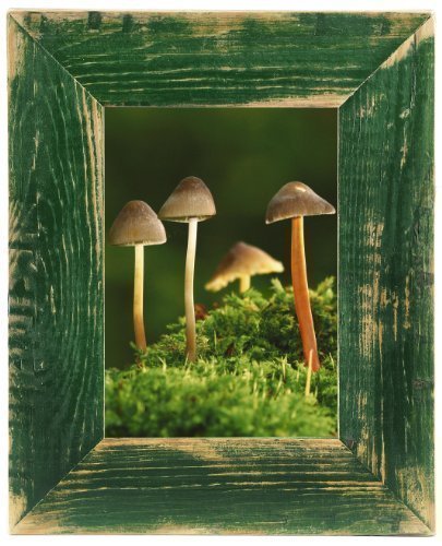Bilderrahmen Landhaus grün 20x30 cm Bilderrahmen Landhaus grün 20x30 cm von Unbekannt