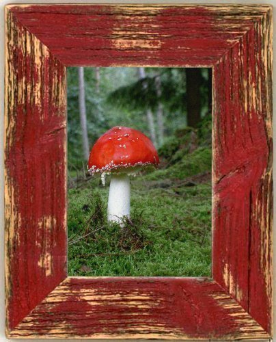 Bilderrahmen Landhaus rot 20x30 cm Bilderrahmen Landhaus rot 20x30 cm von Unbekannt