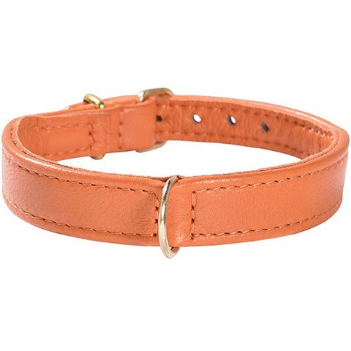 Bobby Halsband Evasion, Größe 45, orange von Bobby