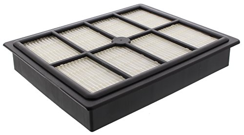 Codiac 971402 Hepa-Filter für Firstline FVC1904 FVC2004/31 x 16 x 2,5 cm von Scanpart