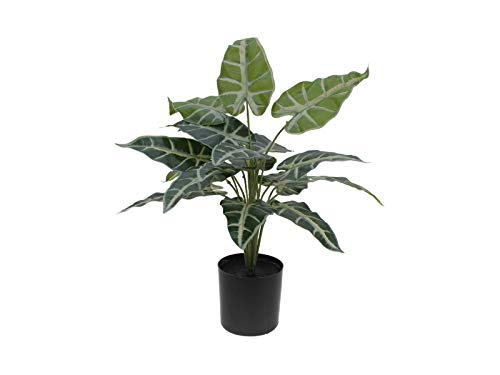 EUROPALMS Caladium, Kunstpflanze im Topf, 38cm | Caladiumpflanze mit Blättern aus hochwertigem PEVA von Unbekannt