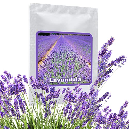 Echter Lavendel ca.150 Samen - Lavandula angustifolia - mehrjährig/winterhart - sehr beliebte Gartenpflanze mit aromatischen Duft Echter Lavendel ca.150 Samen - Lavandula angustifolia - mehrjährig/winterhart - sehr beliebte Gartenpflanze mit aromatischen Duft von Magic of Nature