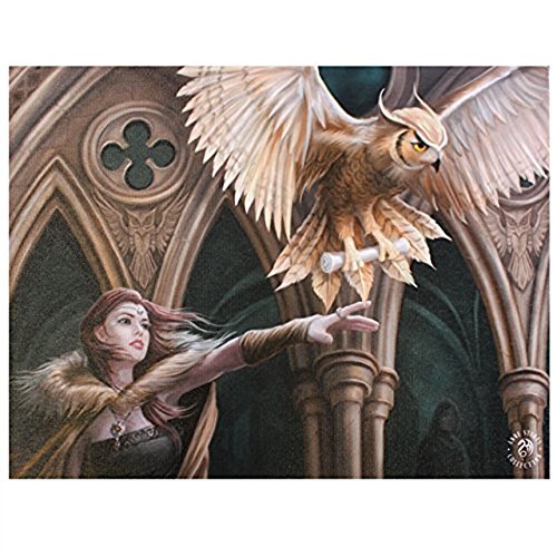 Eule Messenger – Fantastische neue Design von Künstler Anne Stokes – Leinwand Bild auf Rahmen Wand Tafel/Wand Kunst von Spirit of Equinox