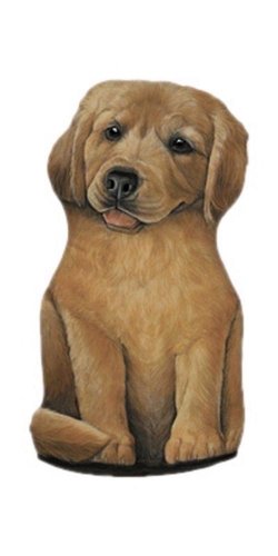 FIDDLER´S ELBOW FEDSLY Türstopper Golden Retriever - Hund Welpe von Unbekannt