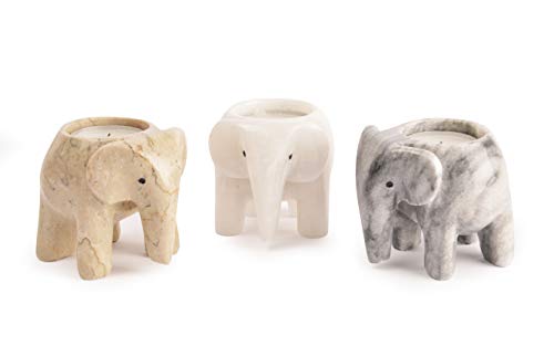 Fossil Gift Shop Teelichthalter aus der Kollektion "Elefant", aus Marmor, neutrale Kollektion von Unbekannt