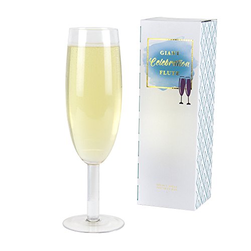 GR Gift Republic Sektglas-12638 Sektglas, Glas, Transparent, 1 Stück (1er Pack) von GR Gift Republic