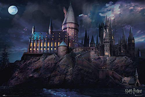 Unbekannt: Grupo Erik Harry Potter Poster - Poster Harry Potter - Kunstdruck - Deko Wohnzimmer oder Deko Schlafzimmer - Deko Zimmer - Größe : 61 x 91 - Offizielle Lizenz - Harry Potter Fanartikel von Unbekannt