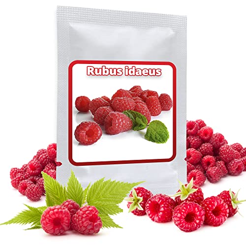 Himbeere Rot - ca. 50 Samen/Pack - Rubus idaeus - frosthart/mehrjährig von Magic of Nature