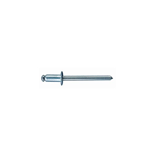 Index rein3215 – genietet Inox A2 Kopf alomada Inox 304/Inox 304 3,2 x 15,9 von INDEX A PERFECT FIXING