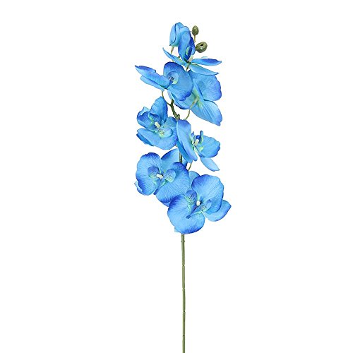 Künstliche Orchidee Schmetterling DIY Seide falsche Blumen für Hochzeitsstrauß Dekoration blau neu erscheinen Künstliche Orchidee Schmetterling DIY Seide falsche Blumen für Hochzeitsstrauß Dekoration blau neu erscheinen von Unbekannt