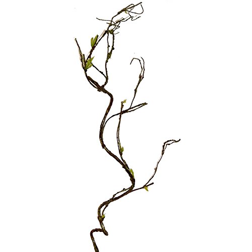 Unbekannt Künstlicher HASELNUSSZWEIG ca 100 cm. Nuss -Zweig mit Trieben von Unbekannt