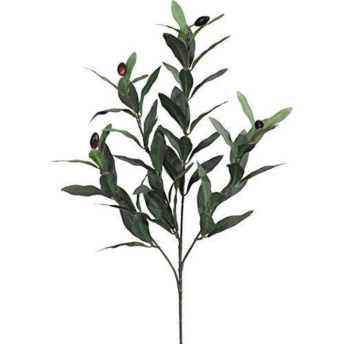 Unbekannt Künstlicher OLIVENZWEIG ca 50 cm, ca 66 Blatt. EIN Oliven AST, Zweig mit 4 Trieben. Unbekannt Künstlicher OLIVENZWEIG ca 50 cm, ca 66 Blatt. EIN Oliven AST, Zweig mit 4 Trieben. von Unbekannt