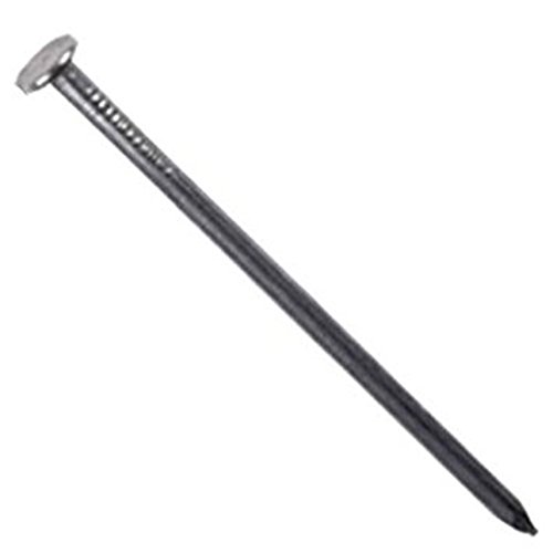 MRT 17066771 Flachkopfspitzen, 12 x 30 mm von Unbekannt